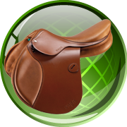 Equine System