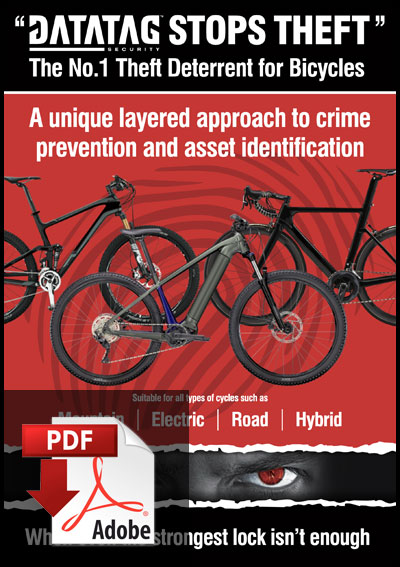 Datatag Cycle Flyer