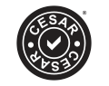 CESAR Scheme