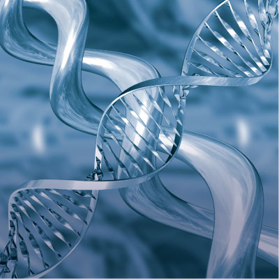 Forensic DNA Marking