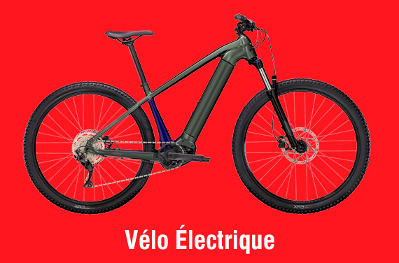 Vélo Électrique